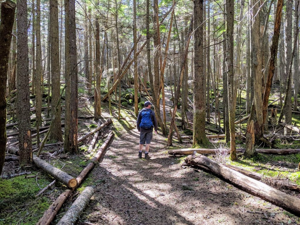 MtConstitution Trail Brandon