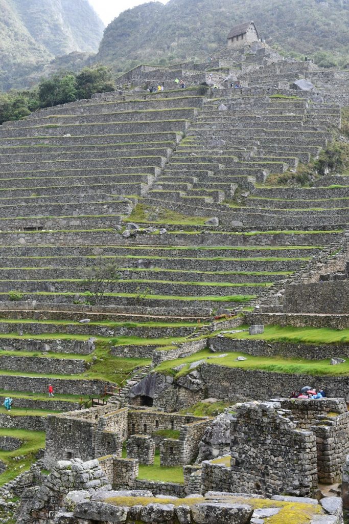 MachuPicchu AgriculturalTerraces