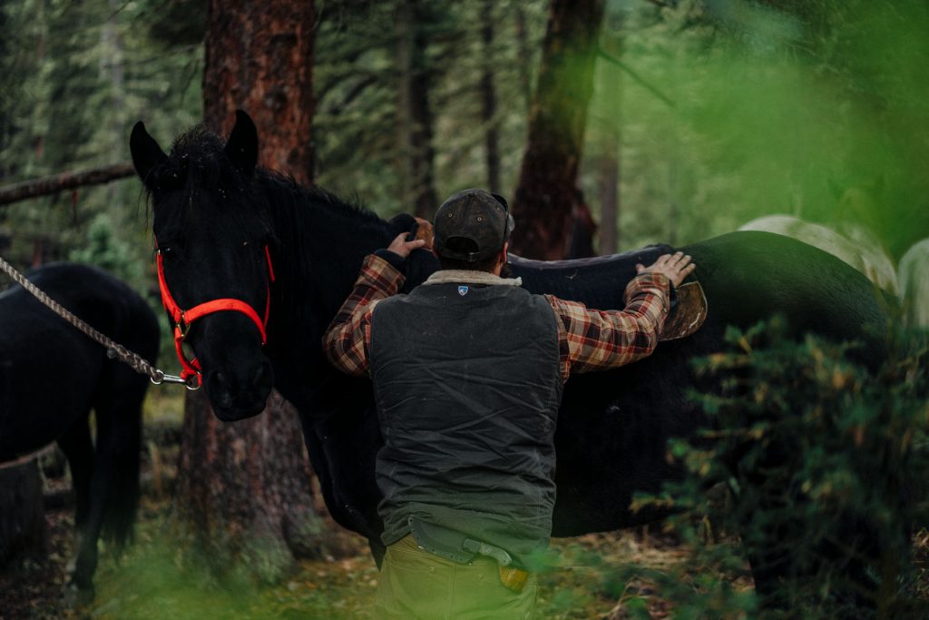 Choose Your Adventure - A man in KUHL Vest taming a horse