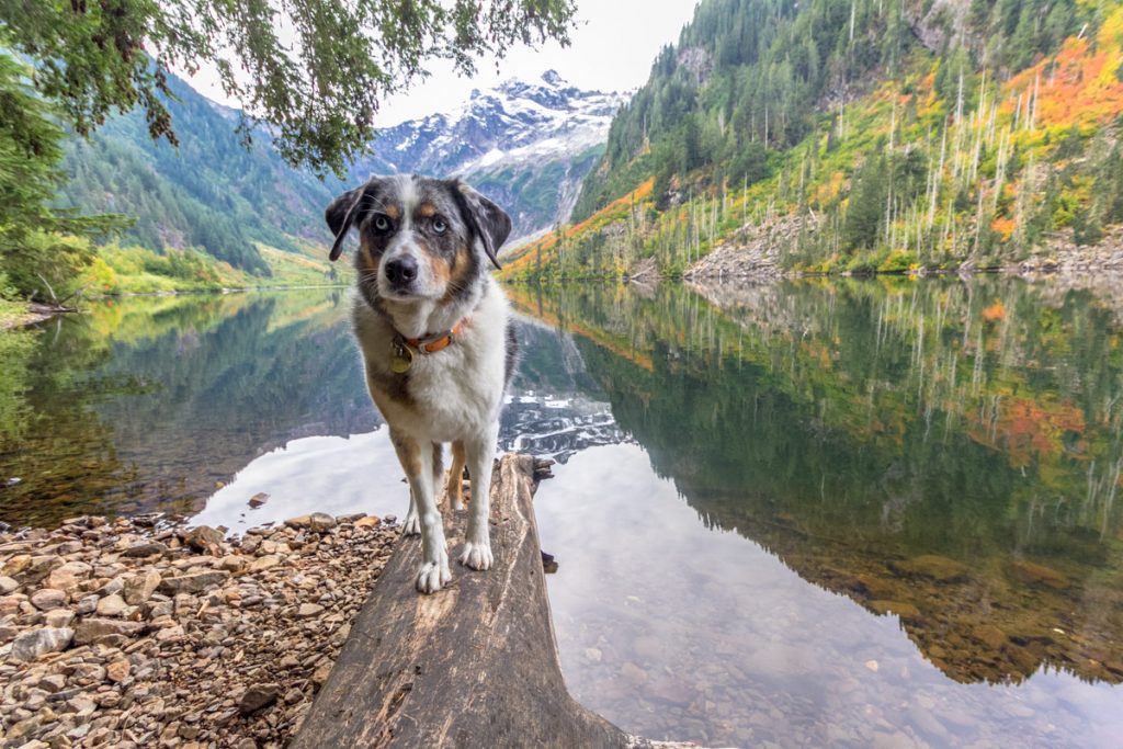 Goat Lake