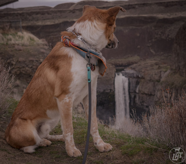 Sitka PalouseFalls