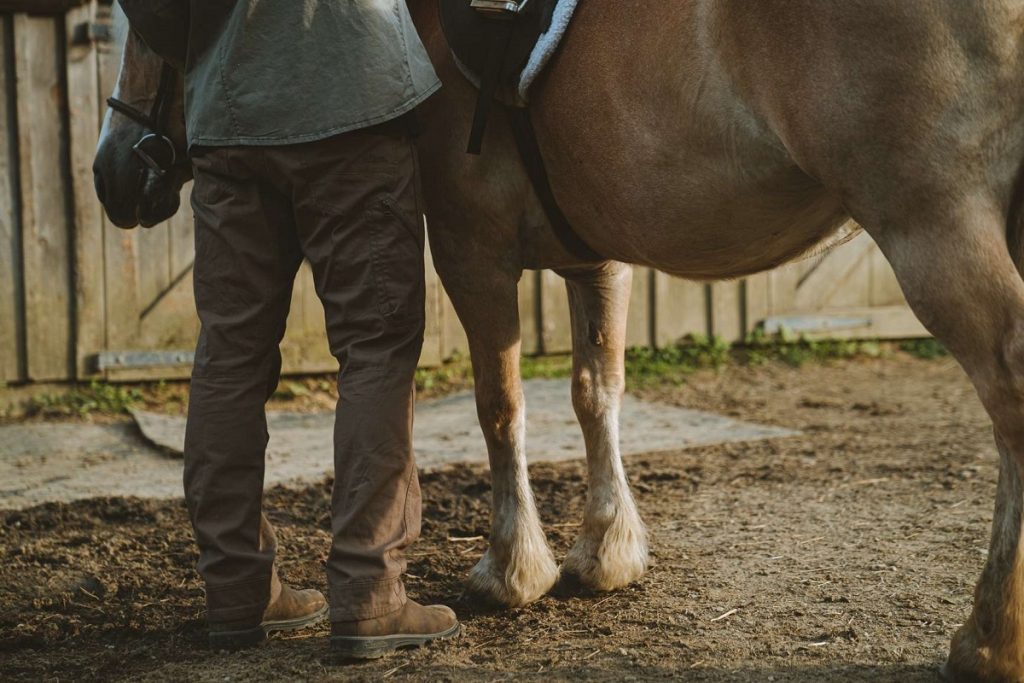 a man standing next to a horse