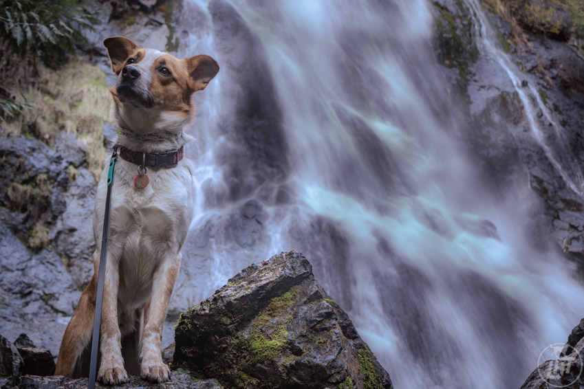 Rocky Brook Falls