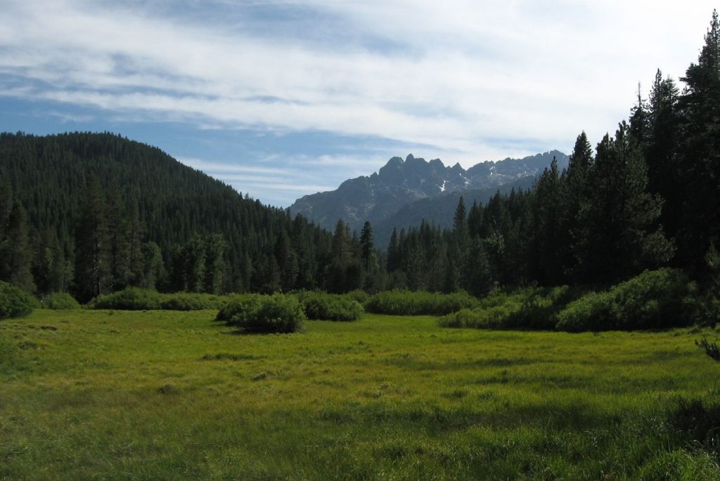 green field with dark and green mountains in the background