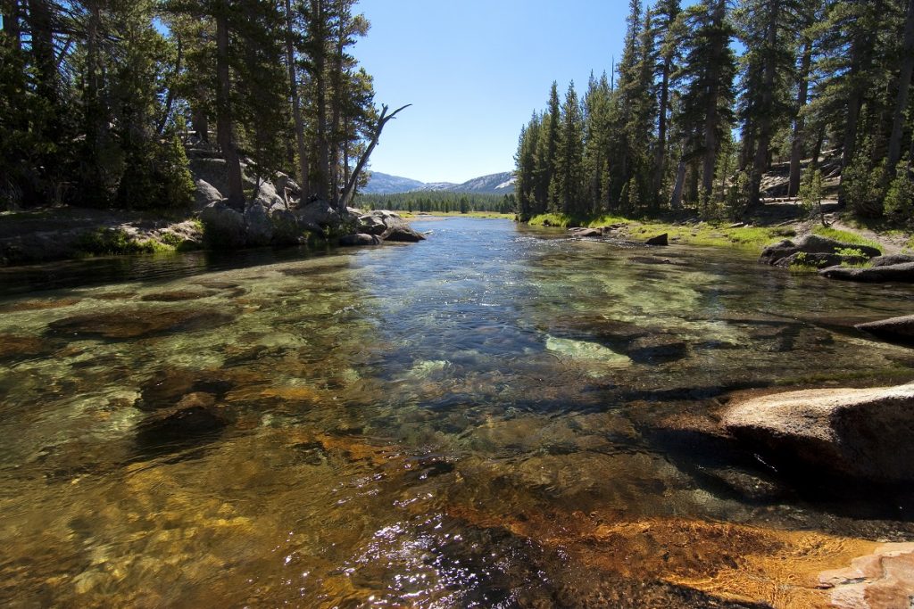 body of water with gray rocks