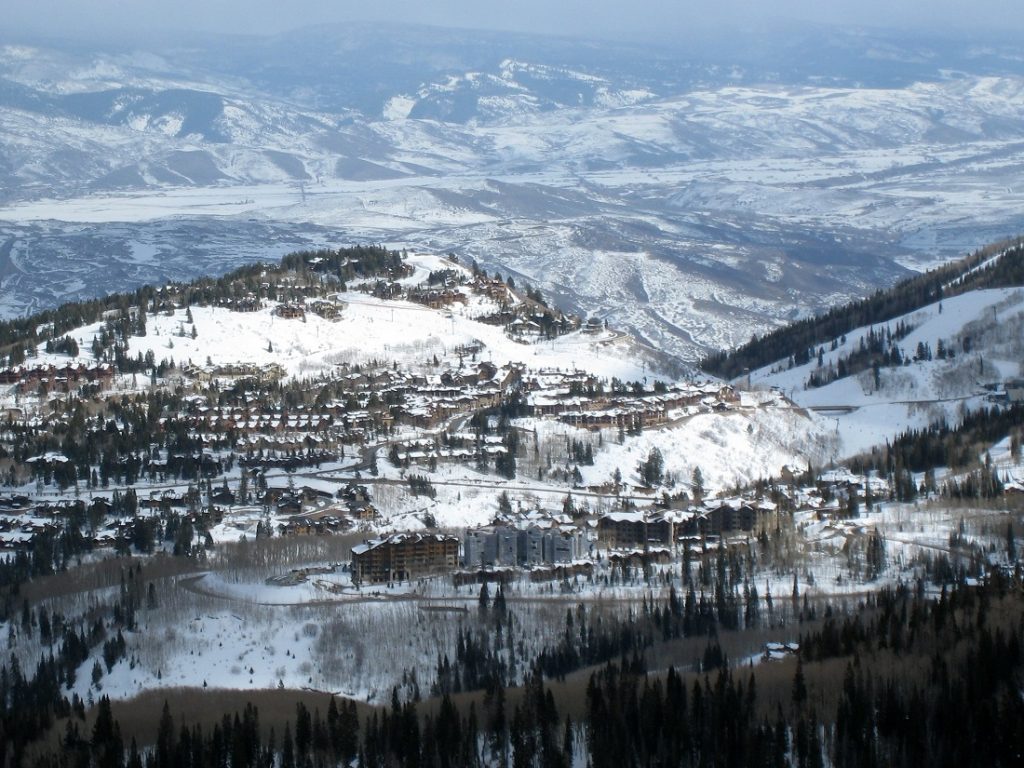 green trees and buildings on snowy ground