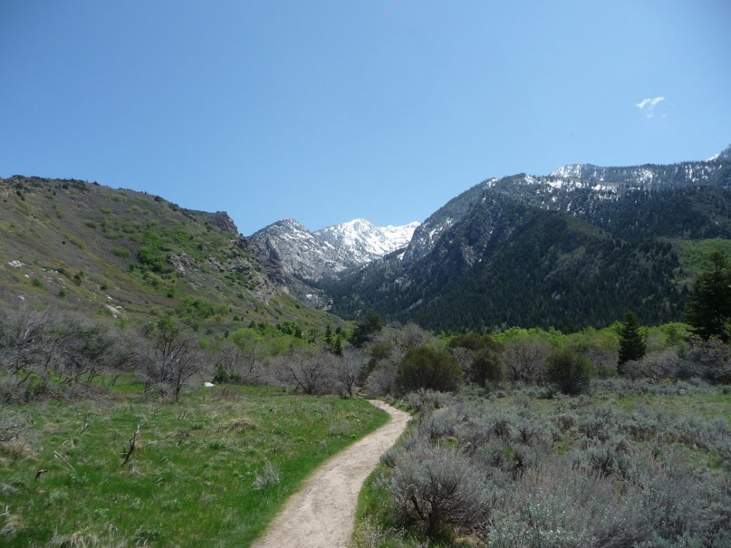 a trail through low gray bushes with rocky formations in the background