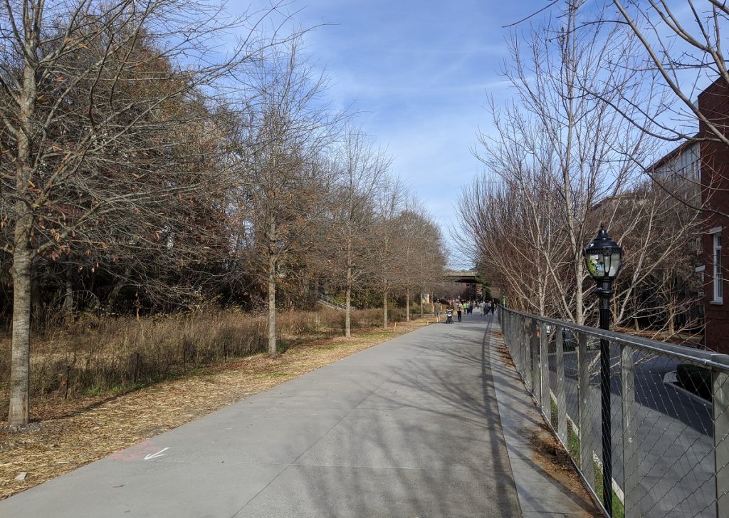 road between trees and fence with distant sky