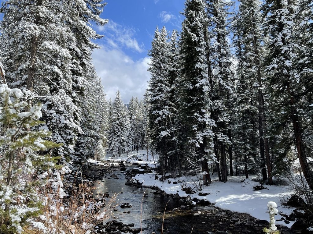 SBornstein VailTrailView