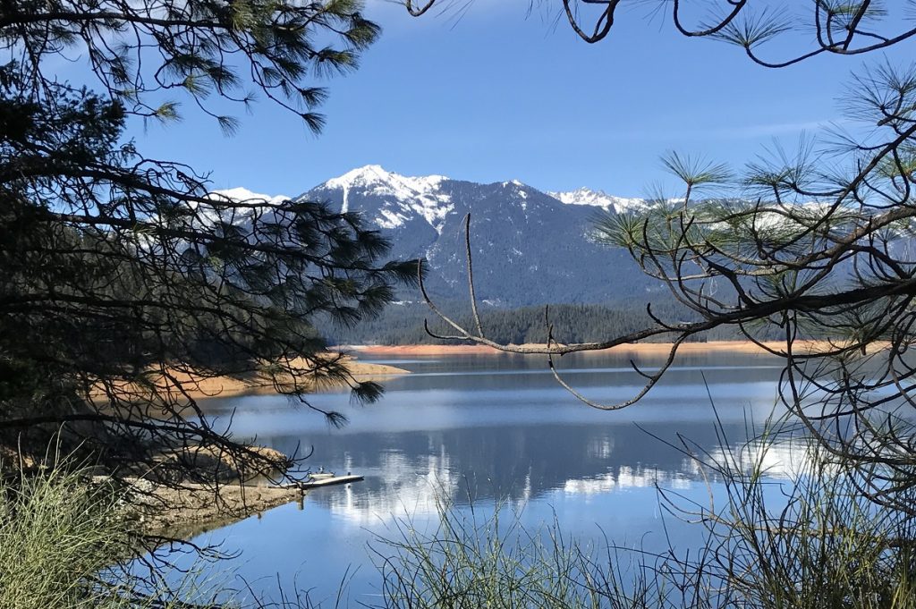 snowy mountain reflecting in body of water surrounded by trees