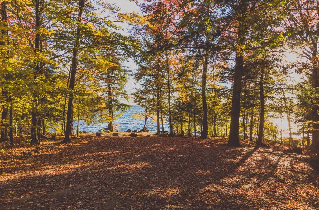 lake campsite surrounded by green trees