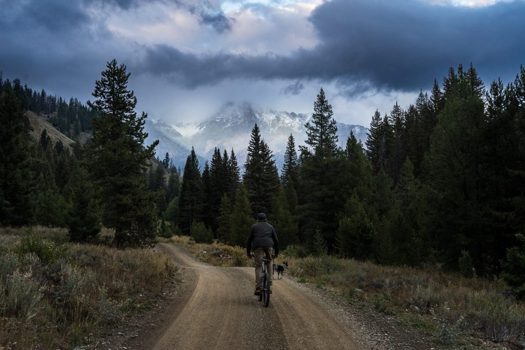 man in KÜHL jacket and KÜHL pants riding bike on trail surrounded with pine trees