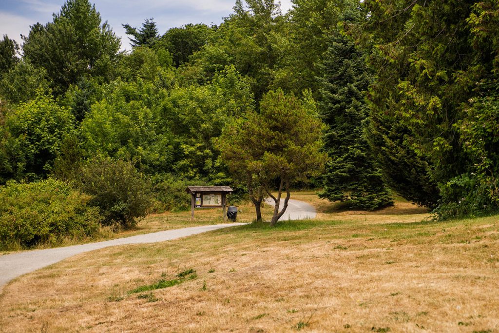 Genesee Park Meadow