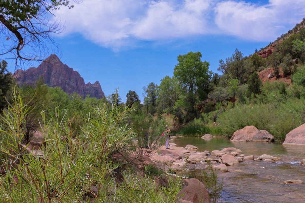 river surrounded by short green bushes and tall mountain