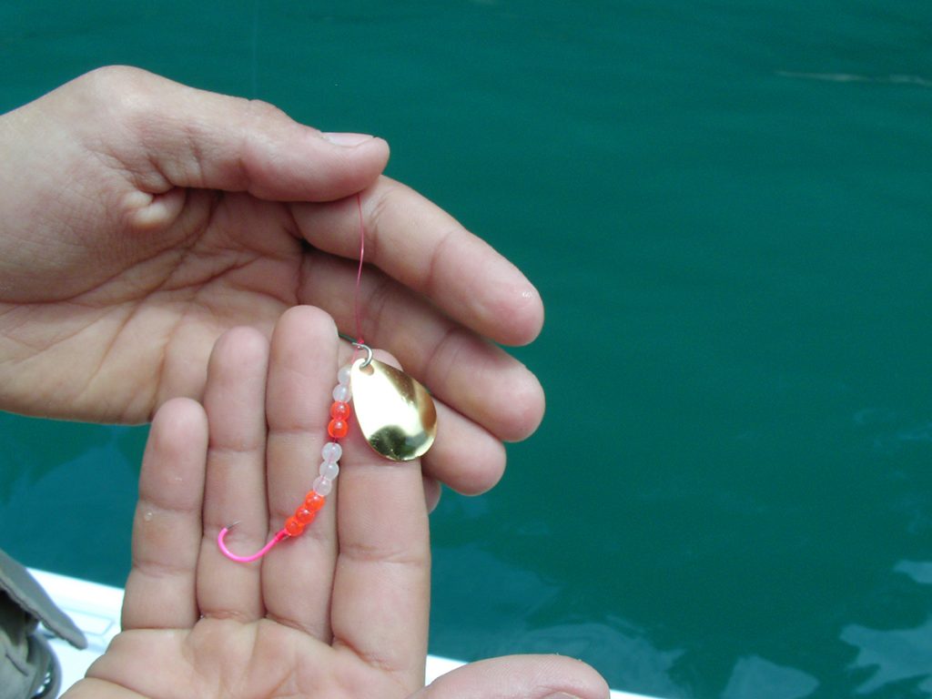 spoon fishing lure