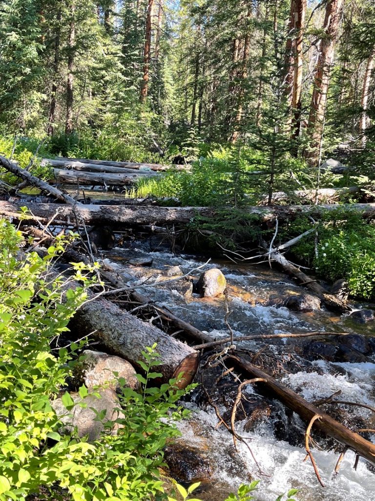 SummitCounty CreekCrossing