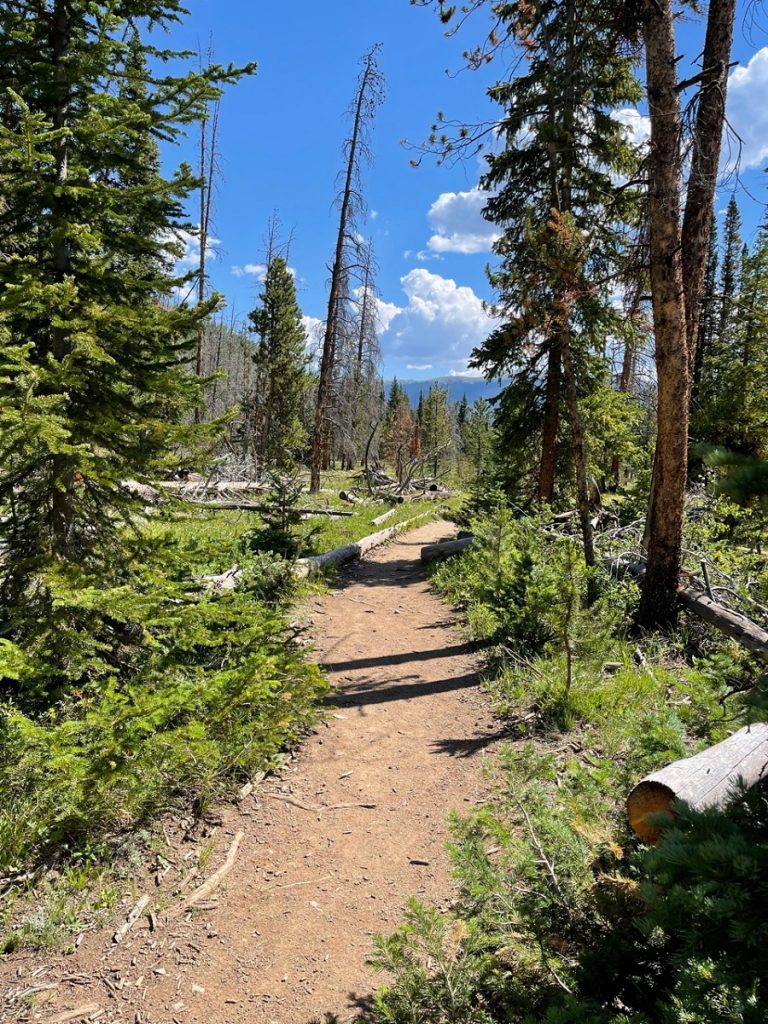 SummitCounty MeadowGoreRangeTrail