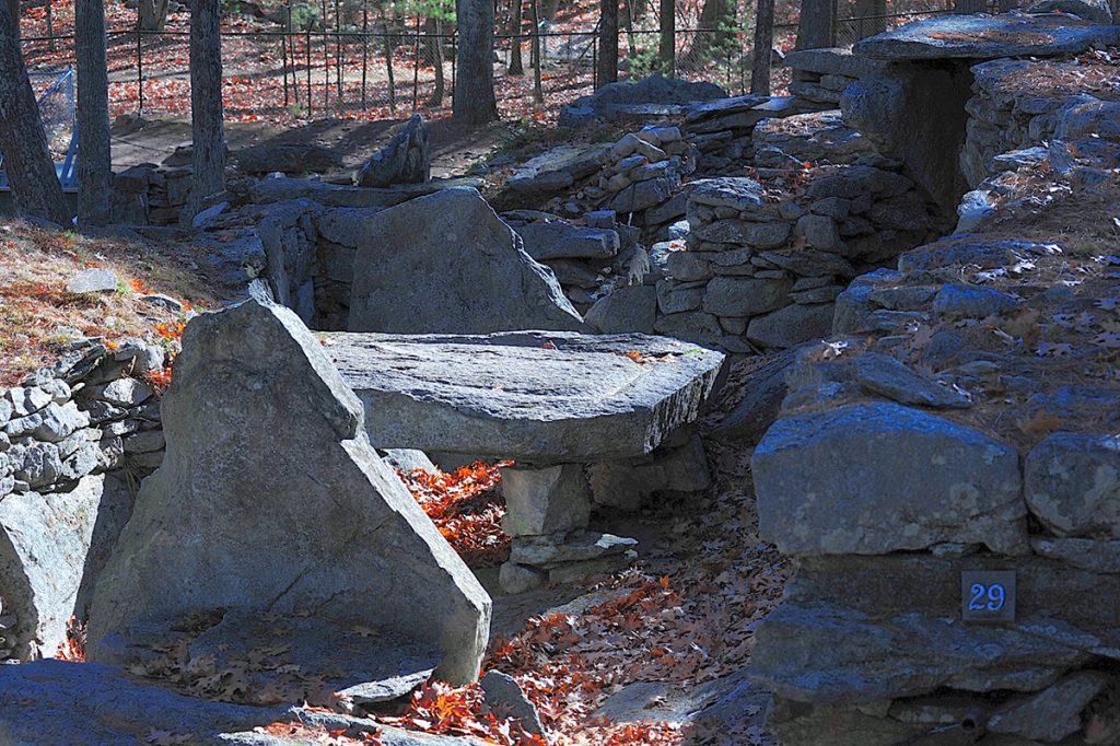 gray rock formations in the woods