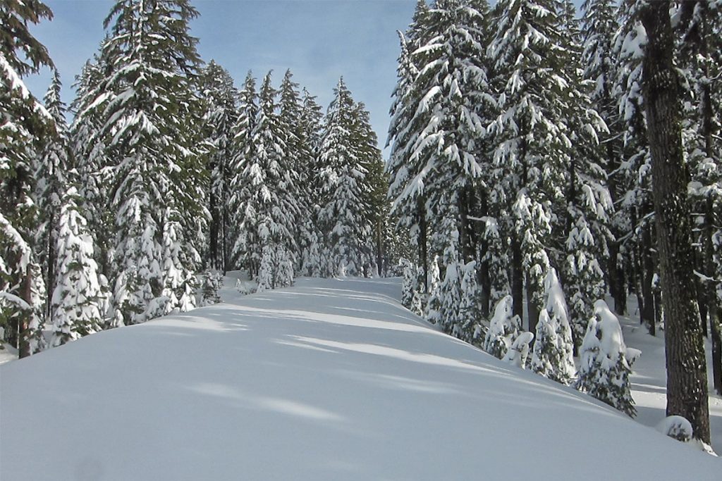 Snowed Rim Road trail