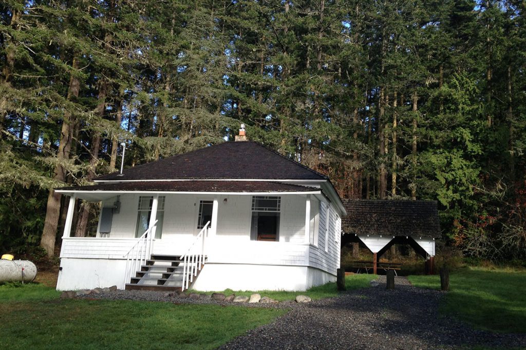 white cabin surrounded by pine trees