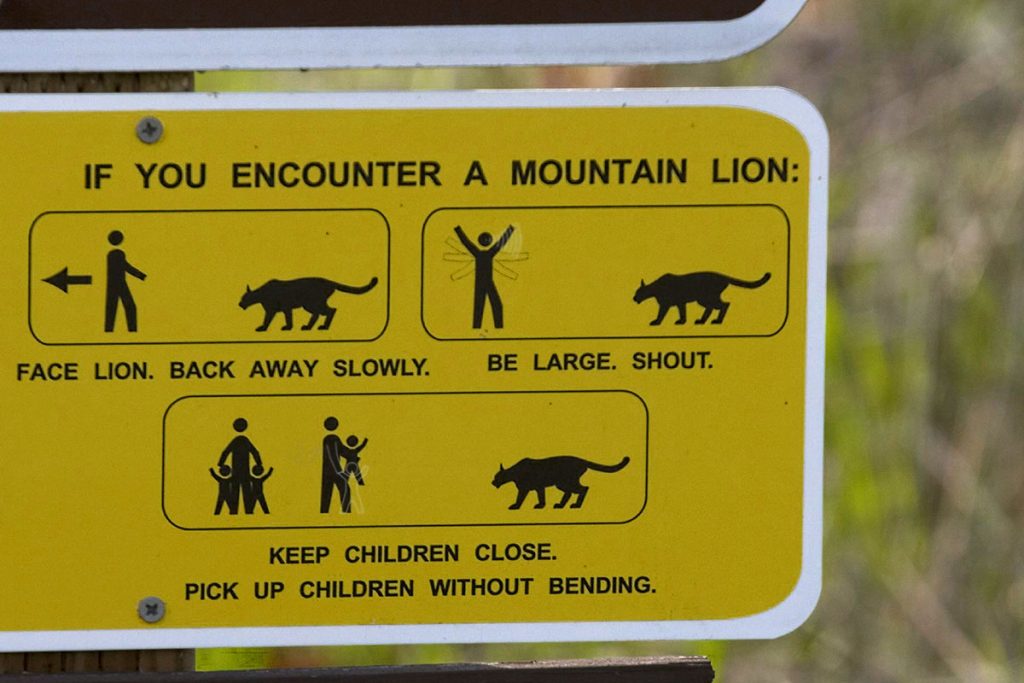 yellow warning sign