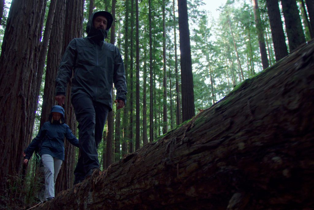 Two People Walking In The Woods