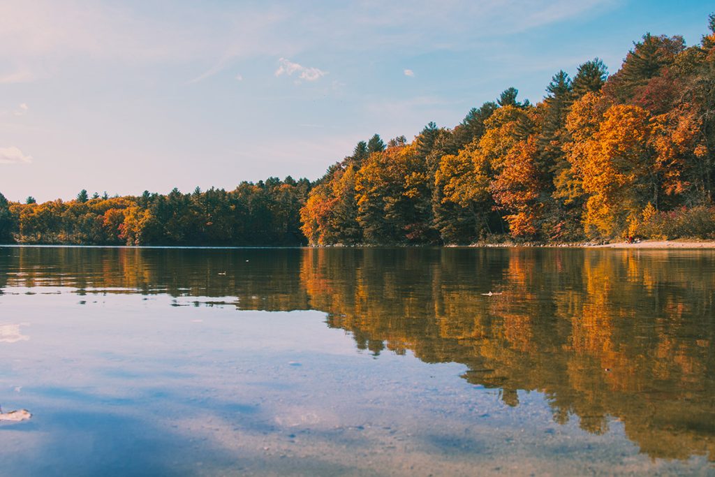 Sunset At The Lake